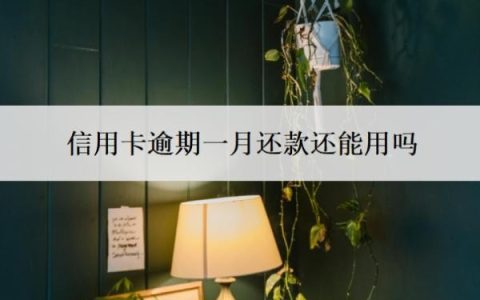 信用卡逾期一月还款还能用吗？逾期多久会上征信？