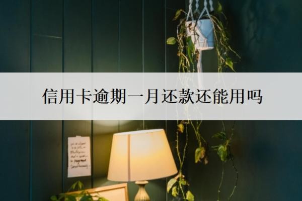 信用卡逾期一月还款还能用吗?逾期多久会上征信?