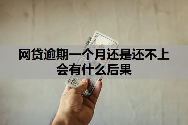 网贷逾期一个月还是还不上会有什么后果？逾期怎么恢复征信？