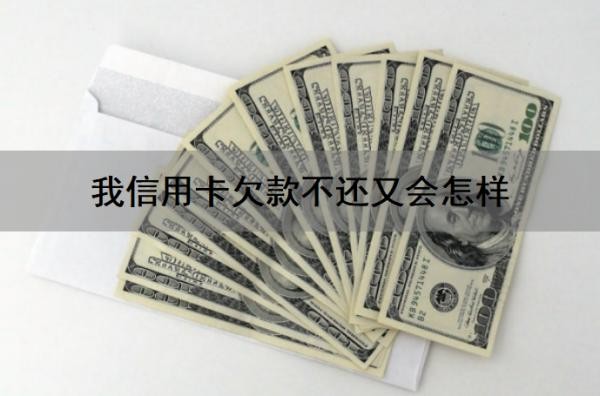 我信用卡欠款不还又会怎样?还不上怎么办?