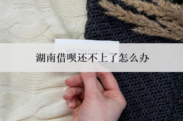 湖南借呗还不上了怎么办?还不上后果是什么?