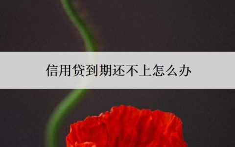 信用贷到期还不上怎么办？到期后还可以再贷出来吗？