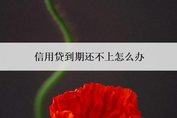 信用贷到期还不上怎么办?到期后还可以再贷出来吗?