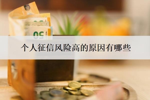 个人征信风险高的原因有哪些?风险高怎么办?
