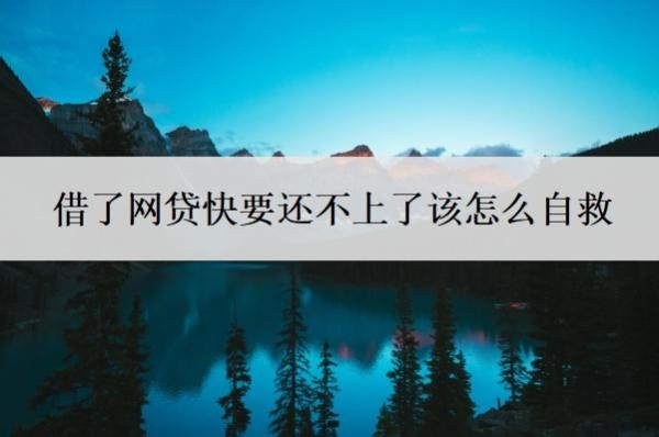 借了网贷快要还不上了该怎么自救?还不上会怎么样?