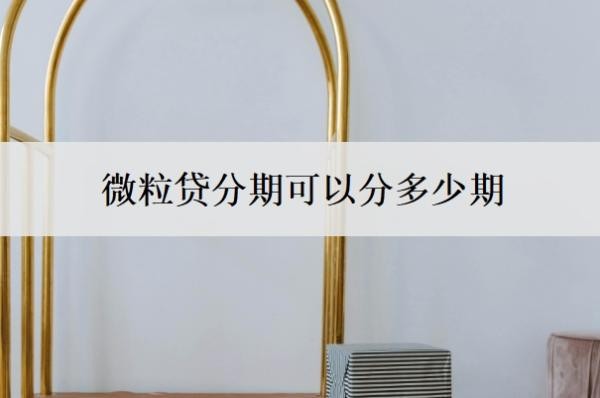 微粒贷分期可以分多少期？可以分60期吗？
