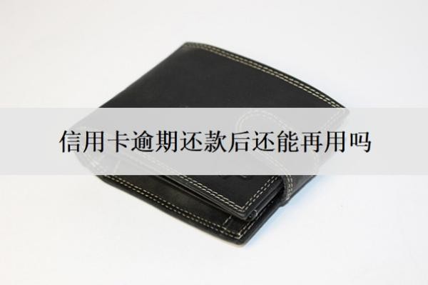 信用卡逾期还款后还能再用吗?怎么自己申请停息挂账?