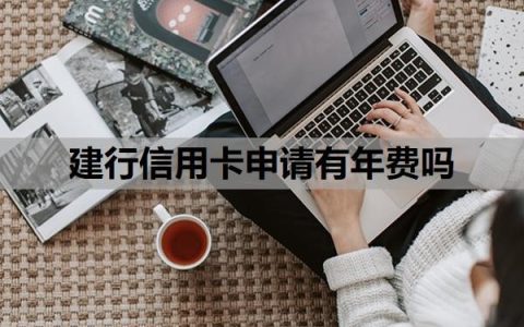 建行信用卡申请有年费吗？有终身免年费的信用卡吗？