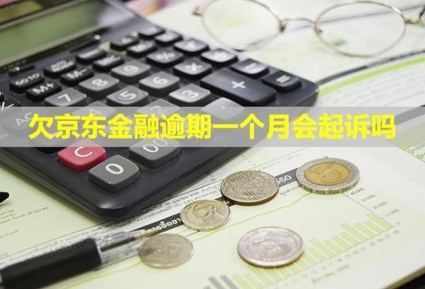 欠京东金融逾期一个月会起诉吗?要全部还清吗?