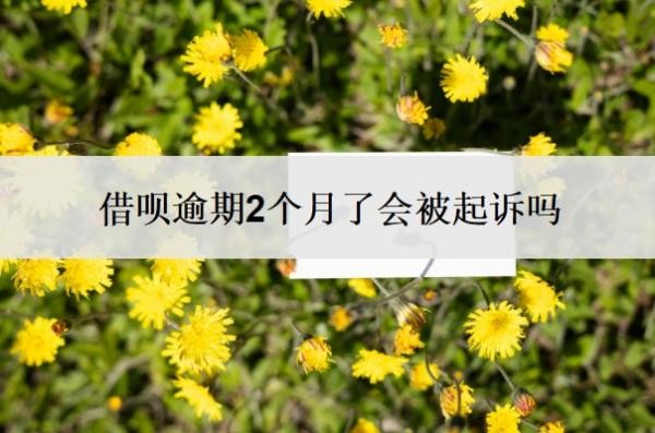 借呗逾期2个月了会被起诉吗？逾期二个月了怎么办？