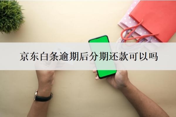 京东白条逾期后分期还款可以吗？怎么协商还款？