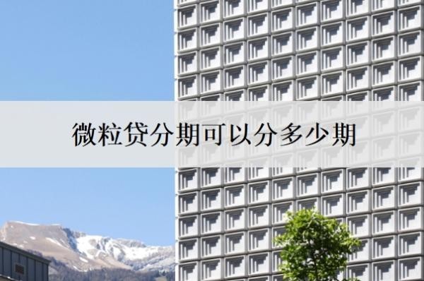 微粒贷分期可以分多少期？可以分60期吗？