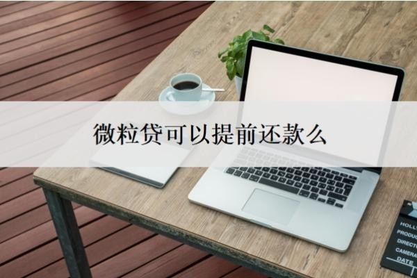 微粒贷可以提前还款么?可以申请延期还款吗?