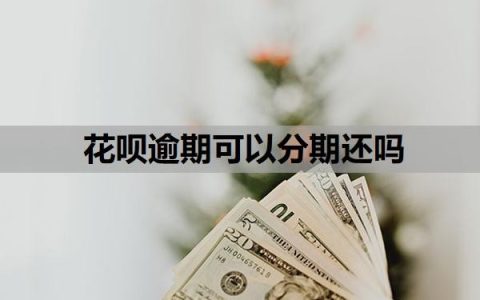 花呗逾期可以分期还吗？操作步骤与方式，花呗分期上征信吗？