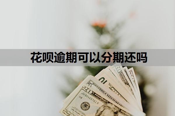 花呗逾期可以分期还吗?操作步骤与方式,花呗分期上征信吗?