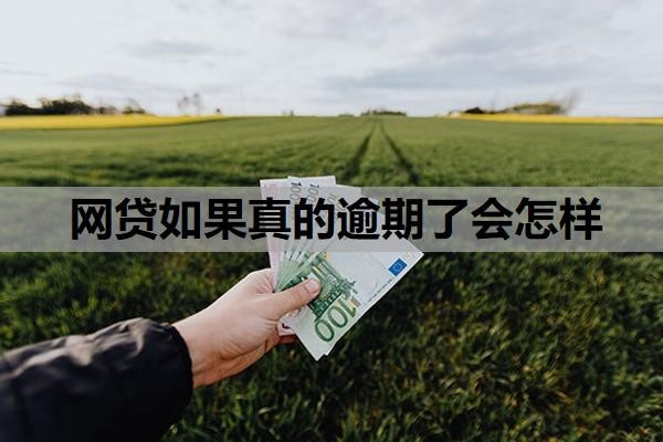 网贷如果真的逾期了会怎样?网贷全面逾期,真没钱还怎么办?
