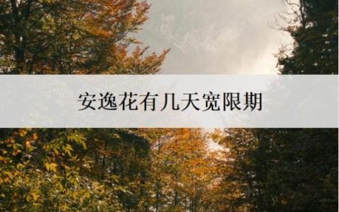 安逸花有几天宽限期？逾期3天会怎样？