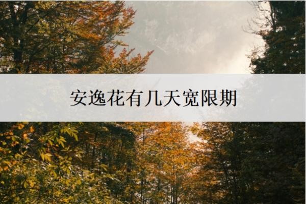 安逸花有几天宽限期?逾期3天会怎样?