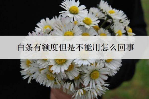白条有额度但是不能用怎么回事?白条风控解除最简单方法