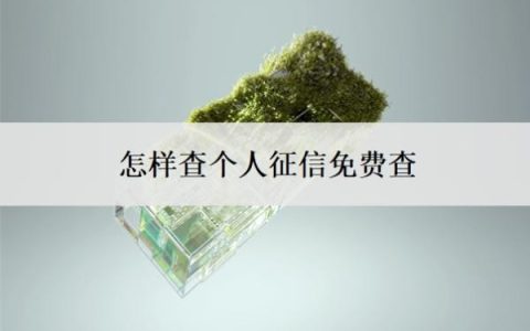 怎样查个人征信免费查？不查征信的网贷