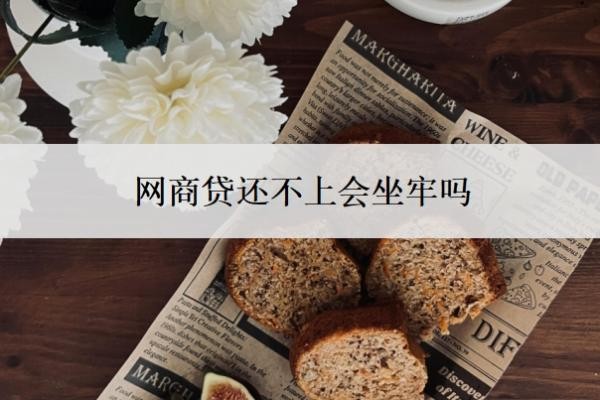 网商贷还不上会坐牢吗?欠网商贷的钱还不上被起诉怎么办