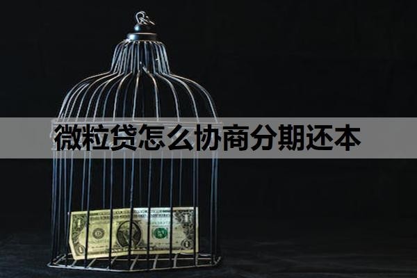 微粒贷怎么协商分期还本?微粒贷还了借不出来是怎么回事?