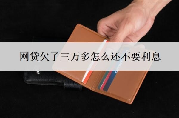 网贷欠了三万多怎么还不要利息?不还会怎样?