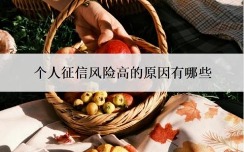 个人征信风险高的原因有哪些？风险高怎么办？