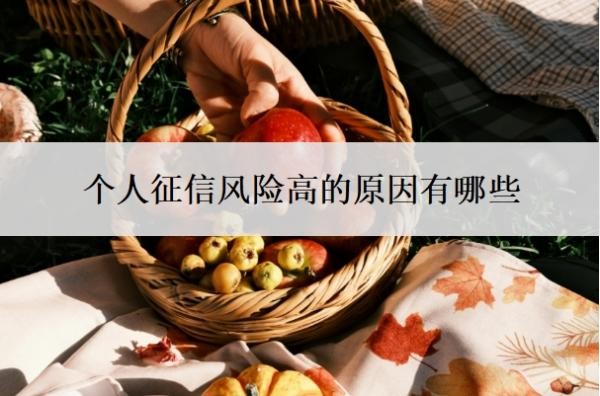 个人征信风险高的原因有哪些?风险高怎么办?