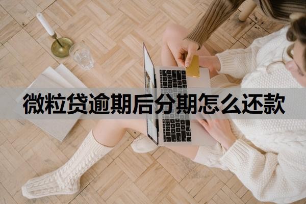 微粒贷逾期后分期怎么还款?可以申请延期还款吗?