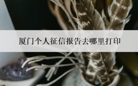 厦门个人征信报告去哪里打印？征信可以ps删掉网贷嘛？