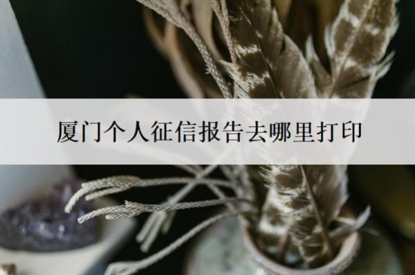 厦门个人征信报告去哪里打印?征信可以ps删掉网贷嘛?