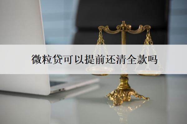 微粒贷可以提前还清全款吗?可以申请延期还款吗?