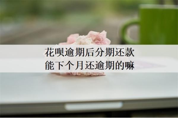 花呗逾期后分期还款能下个月还逾期的嘛?逾期2个月后还款后还能使用吗?