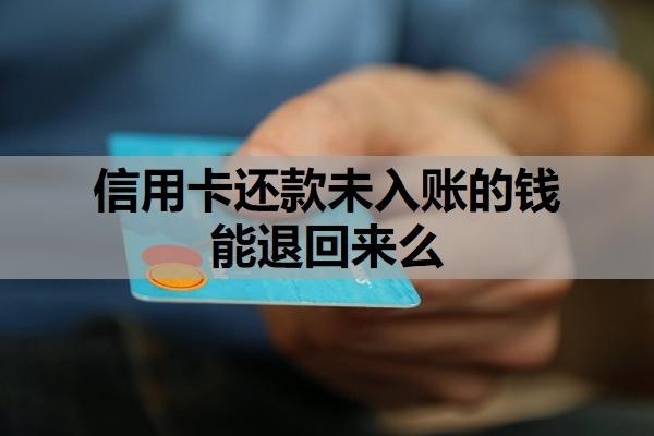 信用卡还款未入账的钱能退回来么?银行政策与处理流程
