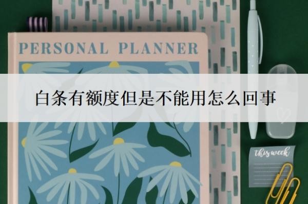 白条有额度但是不能用怎么回事?白条风控解除最简单方法