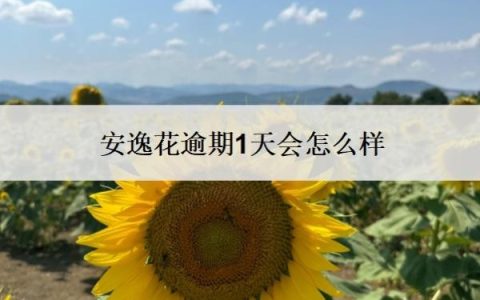 安逸花逾期1天会怎么样？逾期一天还能再借吗？