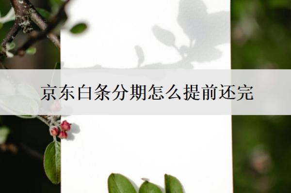 京东白条分期怎么提前还完?分期利息是多少?