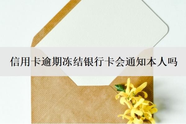 信用卡逾期冻结银行卡会通知本人吗?找谁协商管用?