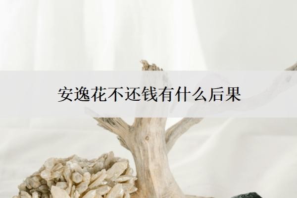 安逸花不还钱有什么后果?逾期会上门催收吗?