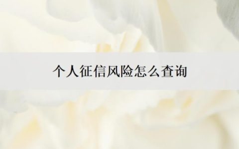 个人征信风险怎么查询？征信可能存在风险是什么意思？