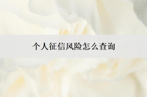 个人征信风险怎么查询?征信可能存在风险是什么意思?