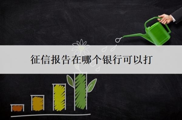 征信报告在哪个银行可以打？征信几页算花了？