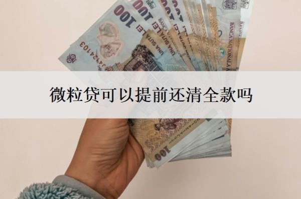 微粒贷可以提前还清全款吗?可以申请延期还款吗?