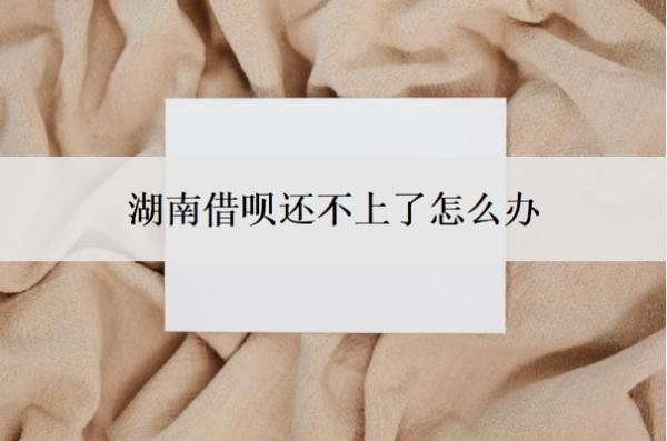 湖南借呗还不上了怎么办?还不上后果是什么?