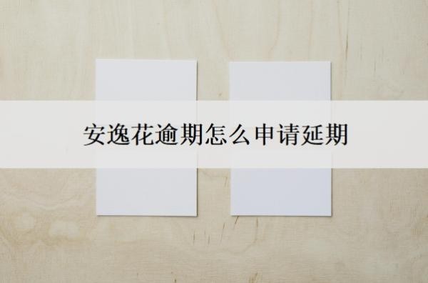 安逸花逾期怎么申请延期?会上门催收吗?