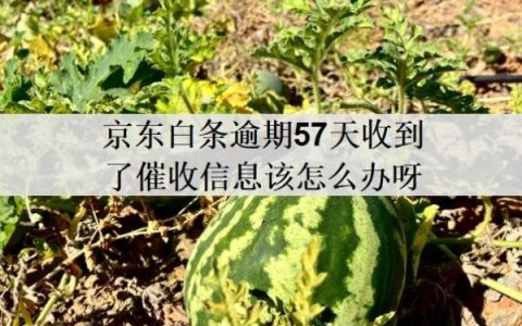 京东白条逾期57天收到了催收信息该怎么办呀？逾期20天能补救吗？