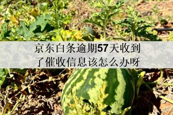 京东白条逾期57天收到了催收信息该怎么办呀?逾期20天能补救吗?