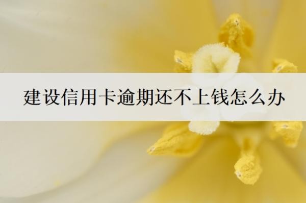 建设信用卡逾期还不上钱怎么办?逾期三个月会有什么后果?