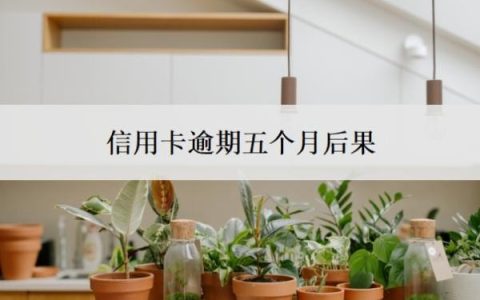 信用卡逾期五个月后果，逾期5个月还能用吗？